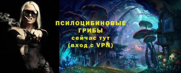 меф Алексин
