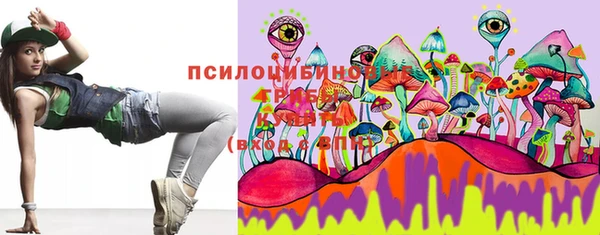 apvp Алексеевка