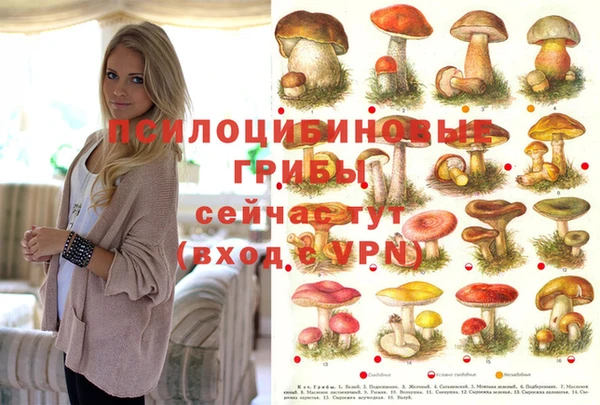 apvp Алексеевка