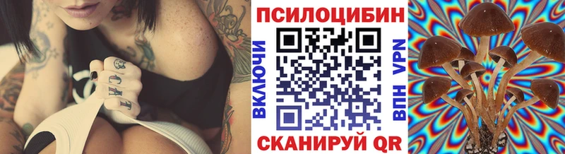 мега вход Качканар Псилоцибиновые грибы мицелий где купить наркотик