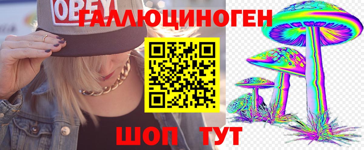 Качканар  Псилоцибиновые грибы Magic Shrooms  Псилоцибиновые грибы Cubensis  где купить наркоту  Вход с VPN 
