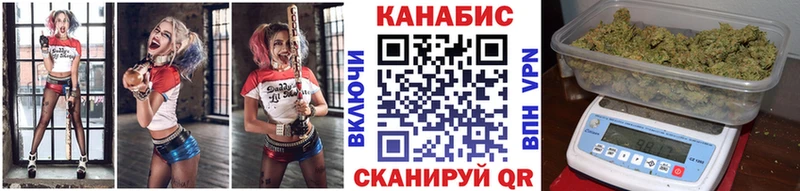 купить наркотик  Качканар  MEGA tor  Бошки Шишки THC 21% 